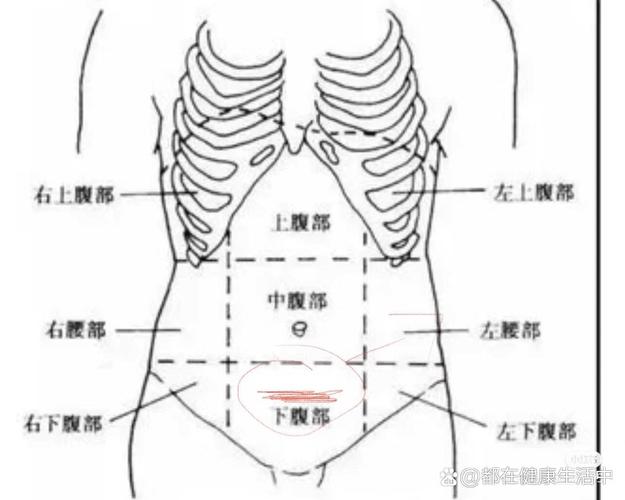 小腹胀