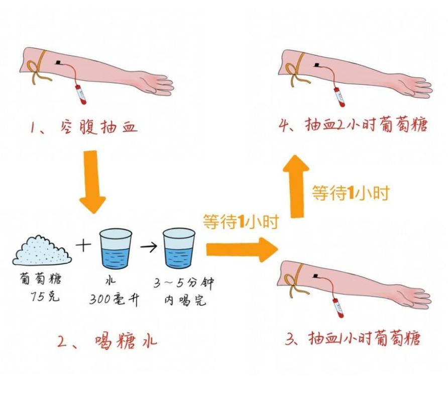 糖耐量试验