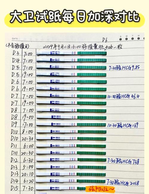 验孕 15 天