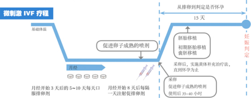  微刺激方案