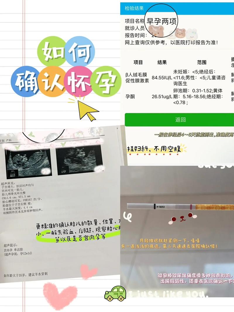  怀孕确认