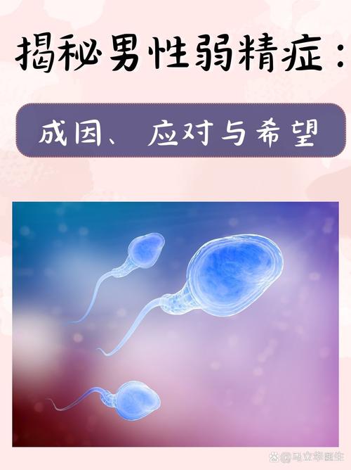 男方弱精子症