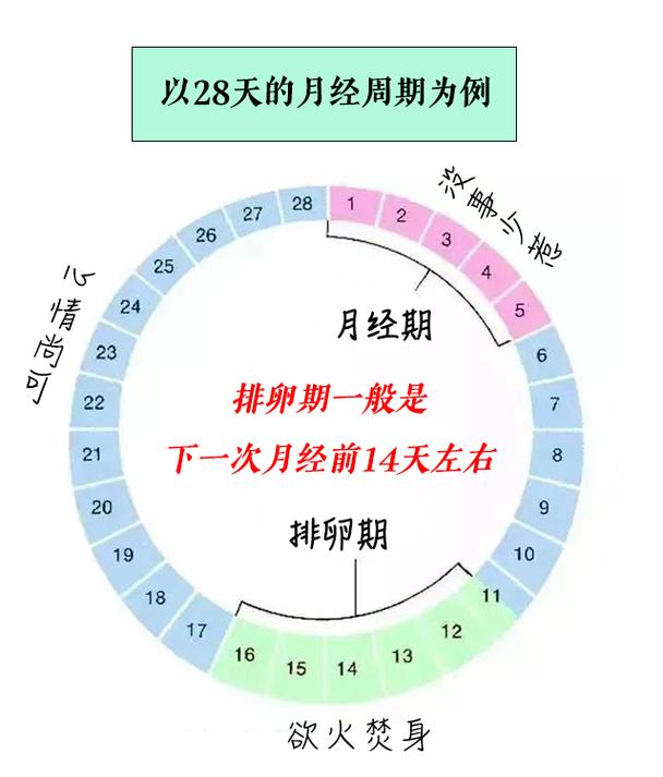 末次月经日期