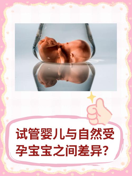 试管婴儿与自然受孕有什么区别吗？