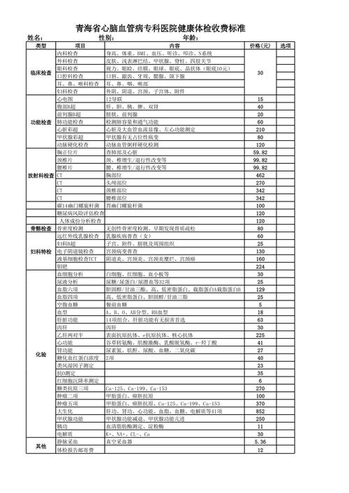  项目价格