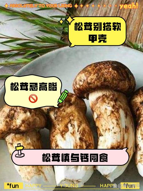 试管婴儿饮食指南：松茸是否安全？