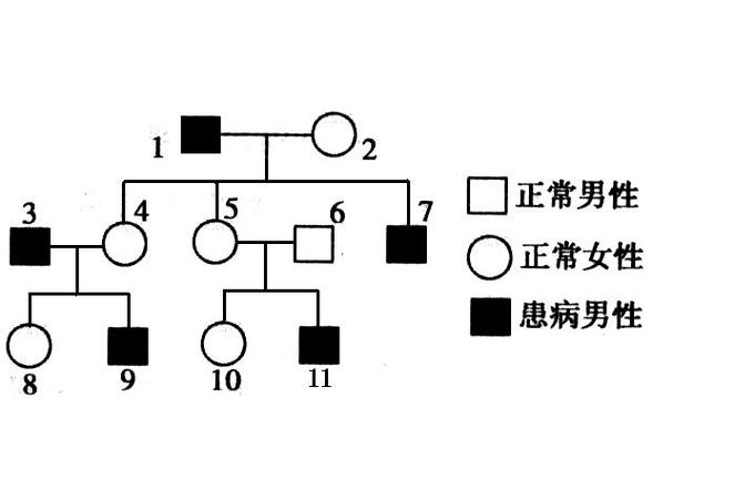 遗传学诊断