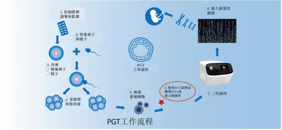 中国的试管婴儿技术：成熟与机遇