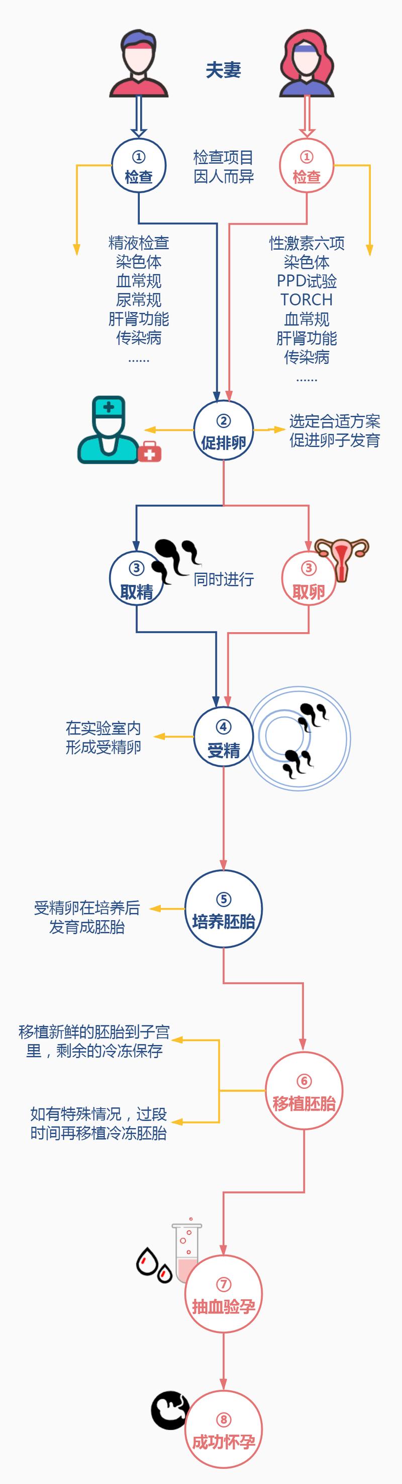 胚胎培养
描述: 本文详细介绍了试管婴儿从取卵到胚胎移植的各个步骤，包括取卵、取精、体外受精、胚胎培养等环节，阐述了其中的操作过程和注意事项，还提及相关数据，为有需求的人提供全面了解。