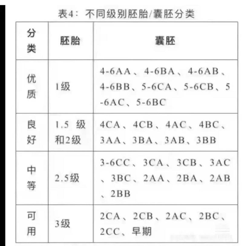  囊胚级别