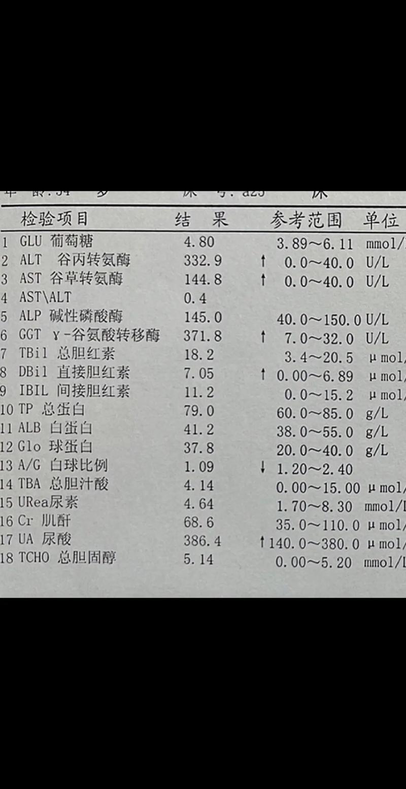 肝功能