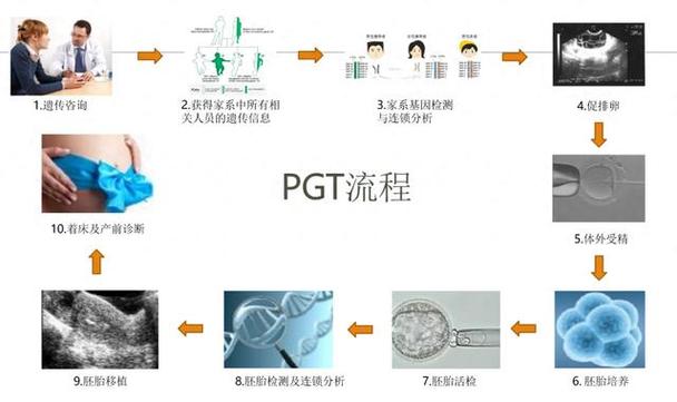  胚胎植入前遗传学诊断</p>