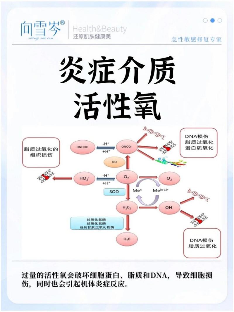 抗氧化应激